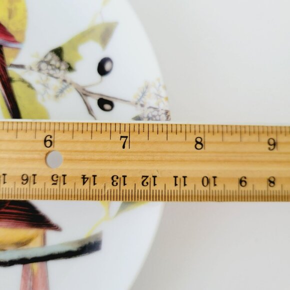 Godinger Audubon Bird Salad Plates (3), Hummingbird, Blue Wing Warbler, Cardinal - Picture 10 of 13